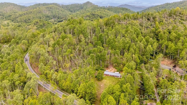81 Amsoil Dr, Bakersville, NC 28705 - photo 34