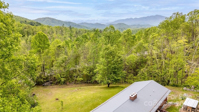 81 Amsoil Dr, Bakersville, NC 28705 - photo 35