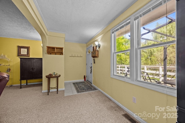 3905 NC Highway 213, Marshall, NC 28753 - hallway with a textured ceiling, carpet, ornamental molding, baseboards, and arched walkways
