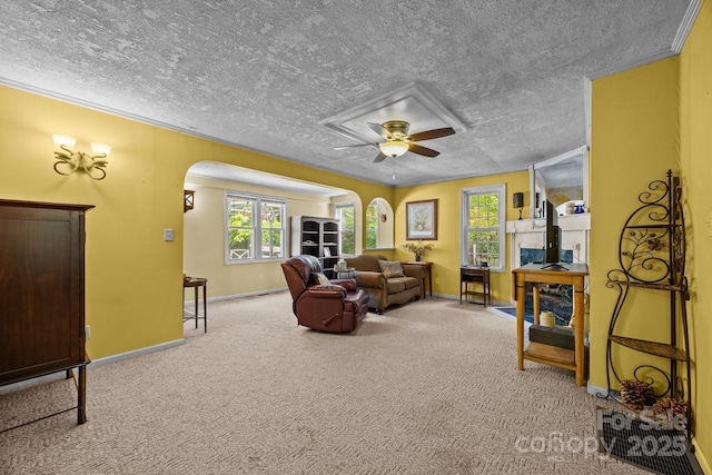 3905 NC Highway 213, Marshall, NC 28753 - living area with arched walkways, baseboards, plenty of natural light, carpet floors, and a textured ceiling