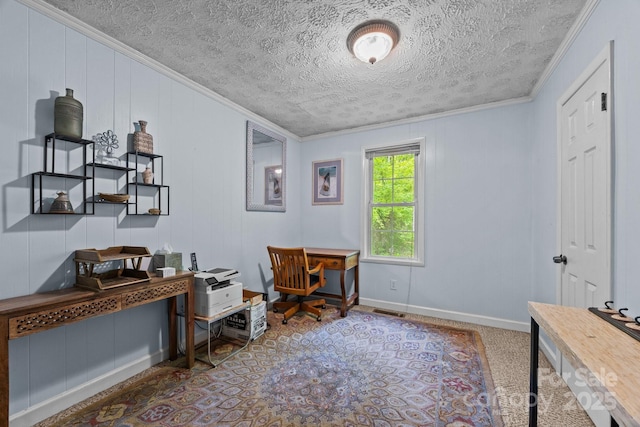 3905 NC Highway 213, Marshall, NC 28753 - office space featuring ornamental molding, a textured ceiling, baseboards, and carpet