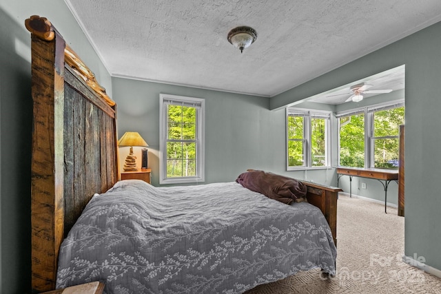 3905 NC Highway 213, Marshall, NC 28753 - bedroom with multiple windows, carpet, a textured ceiling, and baseboards