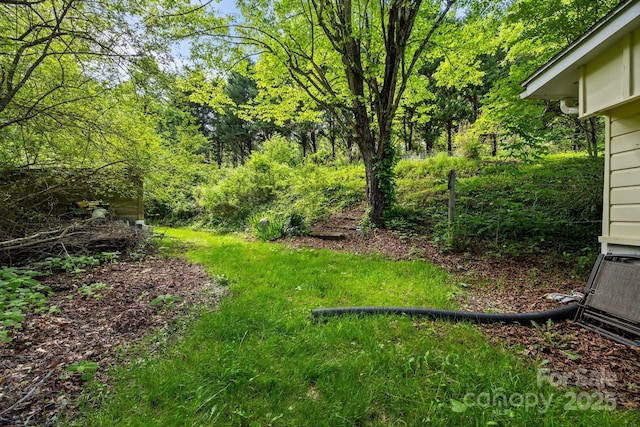 3905 NC Highway 213, Marshall, NC 28753 - view of yard