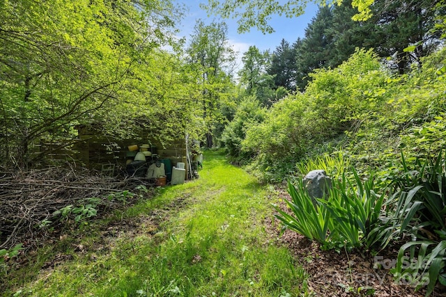 3905 NC Highway 213, Marshall, NC 28753 - view of yard