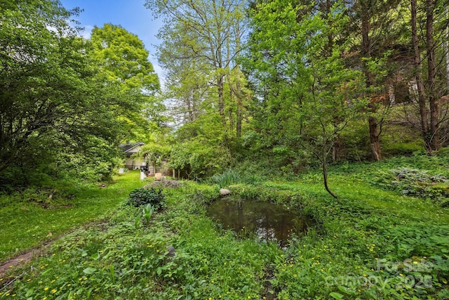 3905 NC Highway 213, Marshall, NC 28753 - view of yard with a view of trees