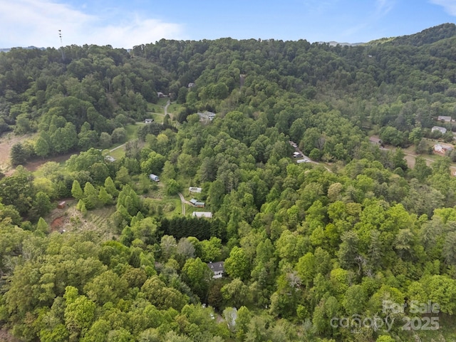 3905 NC Highway 213, Marshall, NC 28753 - aerial view of property and surrounding area featuring a forest