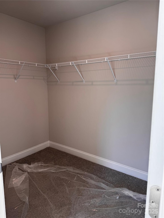 4041 Port Richmond Ave Unit 9, Gastonia, NC 28056 - walk in closet featuring carpet floors