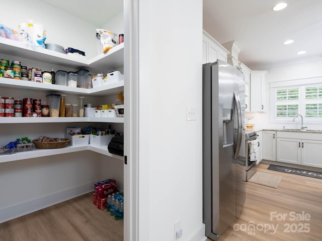 pantry featuring a sink