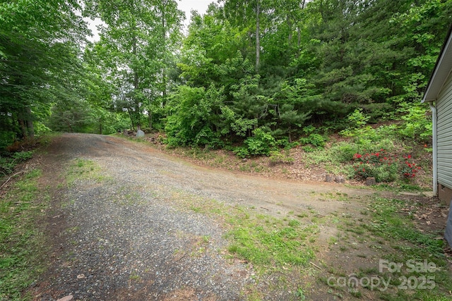 116 Hidden Meadow Dr Unit 17, Candler, NC 28715 - view of street