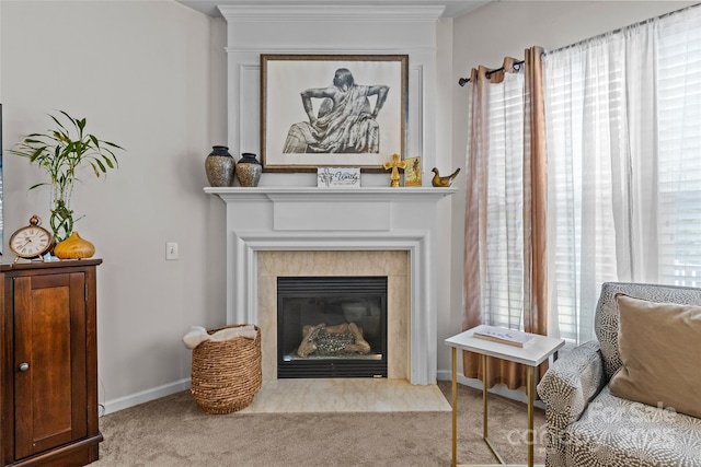 8410 Darcy Hopkins Dr, Charlotte, NC 28277 - sitting room featuring carpet flooring, baseboards, and a fireplace with flush hearth