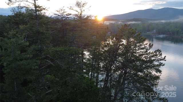 223 Linville View Dr, Nebo, NC 28761 - water view with a mountainous background and a forest