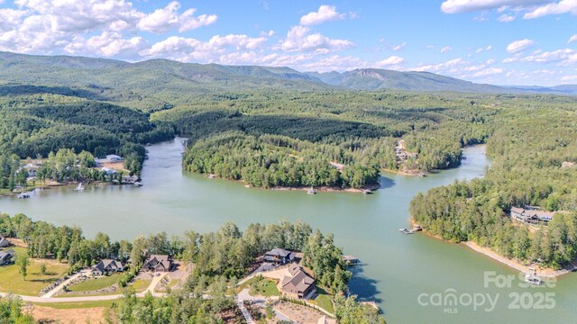 223 Linville View Dr, Nebo, NC 28761 - aerial view of property's location with a water and mountain view and a forest