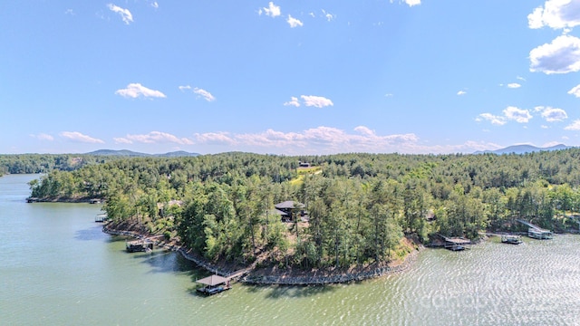 223 Linville View Dr, Nebo, NC 28761 - drone / aerial view of a forest and a water and mountain view