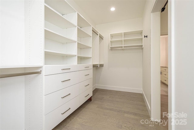 118 W Laurel Ln, Etowah, NC 28729 - walk in closet with light wood-style flooring