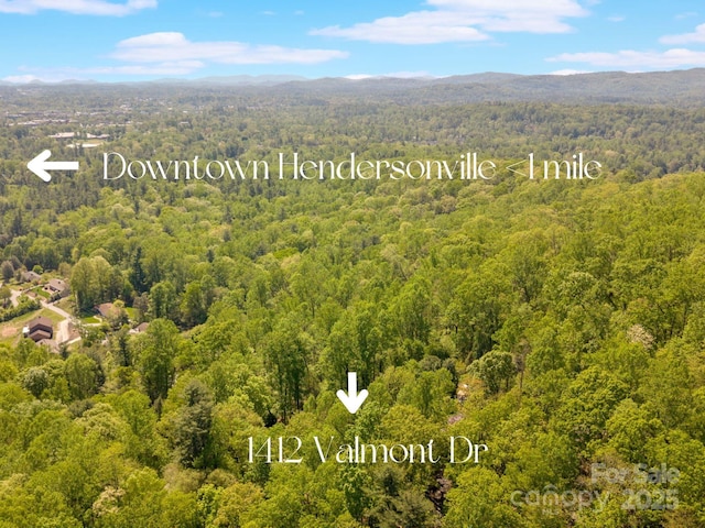 1412 Valmont Dr, Hendersonville, NC 28791 - photo 48