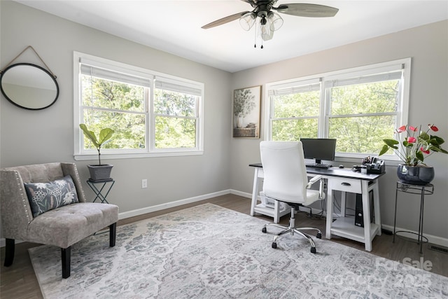 16 Royal Rdg, Clyde, NC 28721 - home office with plenty of natural light, wood finished floors, and a ceiling fan