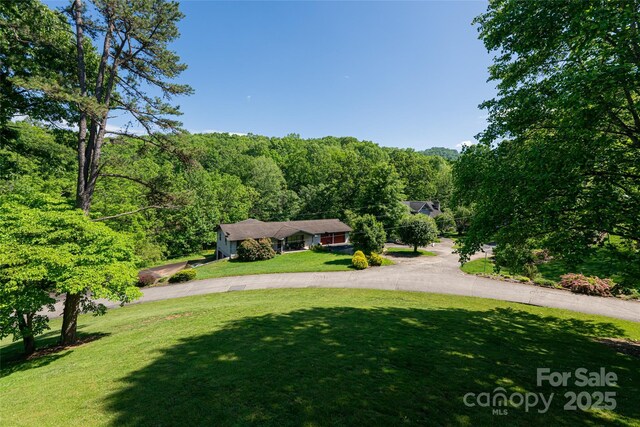 16 Royal Rdg, Clyde, NC 28721 - view of front of house featuring a front lawn and a forest view