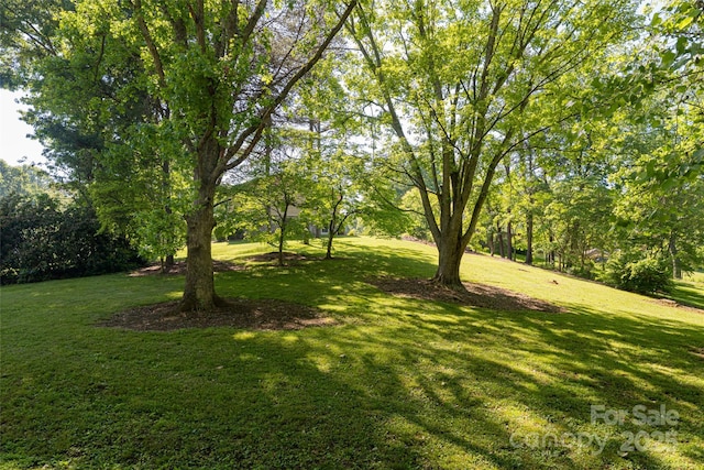 16 Royal Rdg, Clyde, NC 28721 - view of grassy yard