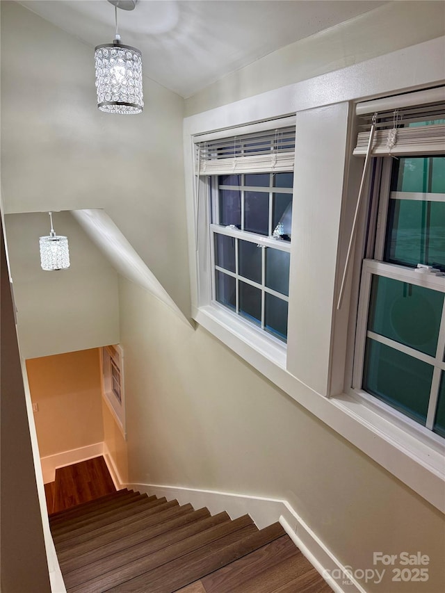 102 Holland St, Asheville, NC 28801 - photo 18