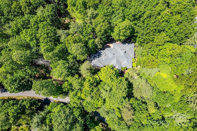 200 Maple Hill Dr, Flat Rock, NC 28731 - photo 8