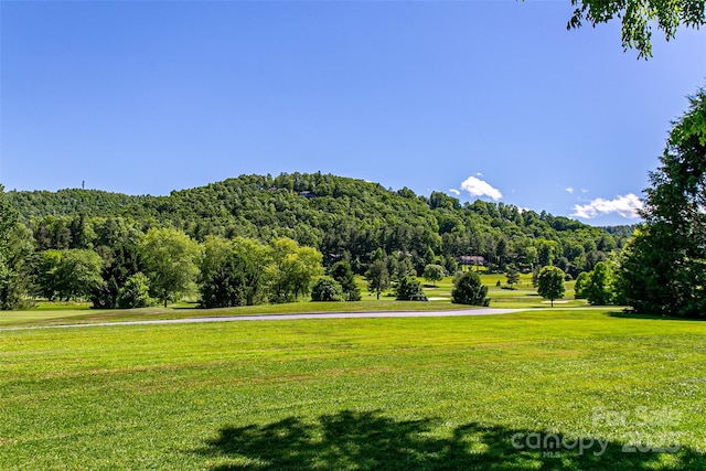 200 Maple Hill Dr, Flat Rock, NC 28731 - photo 43