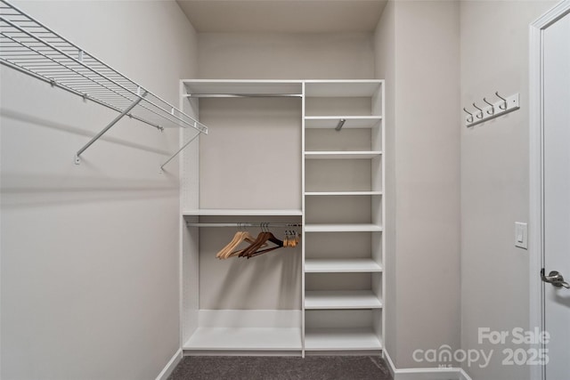 2329 Delaney Dr, Fort Mill, SC 29715 - walk in closet featuring carpet