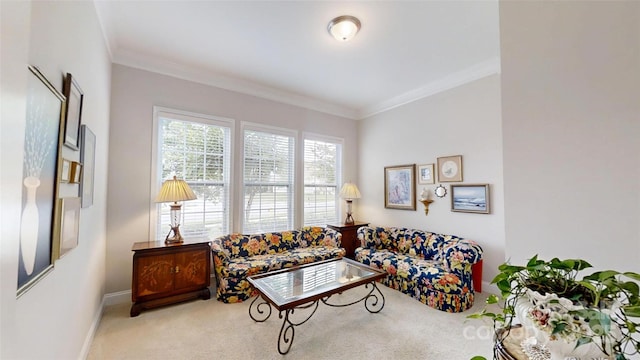123 Hanks Bluff Dr, Mooresville, NC 28117 - living area with carpet floors, ornamental molding, and baseboards