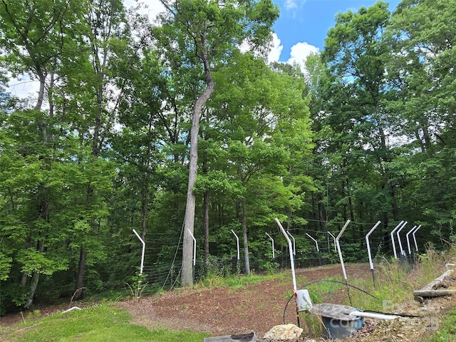 490 Deberry Rd, Mount Gilead, NC 27306 - view of yard featuring a forest view