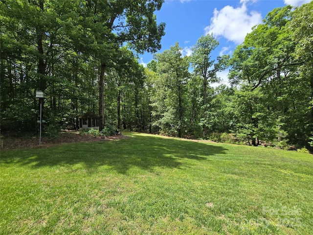 490 Deberry Rd, Mount Gilead, NC 27306 - view of grassy yard