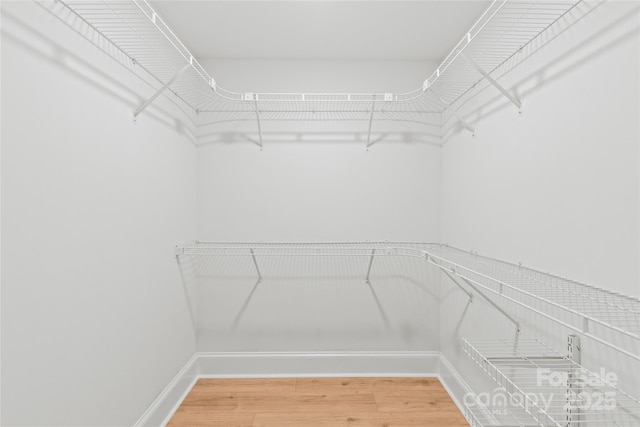 518 Westside Cir, China Grove, NC 28023 - spacious closet with light wood-type flooring