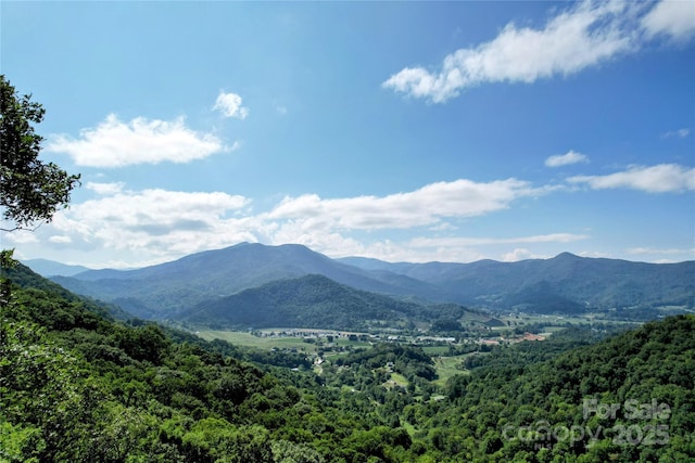 114 Trails End Ln, Waynesville, NC 28785