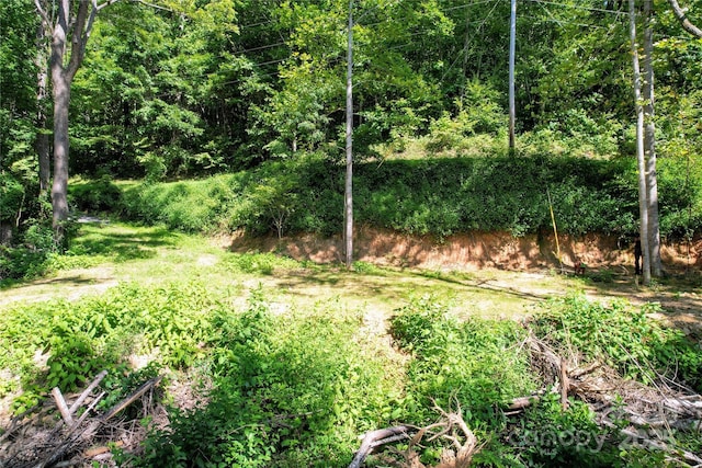 114 Trails End Ln, Waynesville, NC 28785