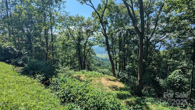114 Trails End Ln, Waynesville, NC 28785