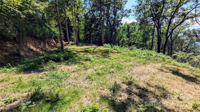 114 Trails End Ln, Waynesville, NC 28785