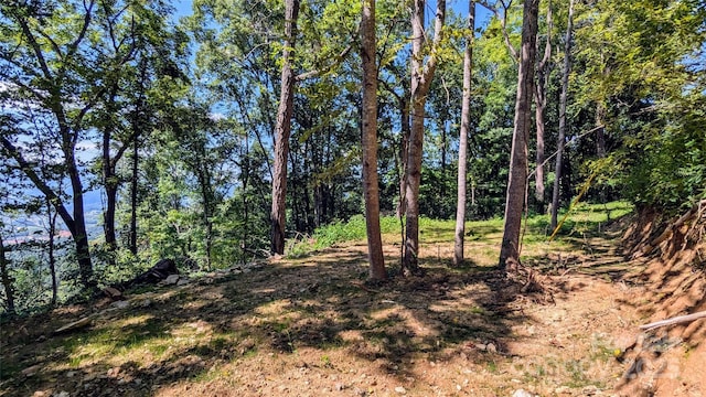 114 Trails End Ln, Waynesville, NC 28785