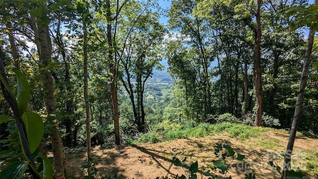 114 Trails End Ln, Waynesville, NC 28785