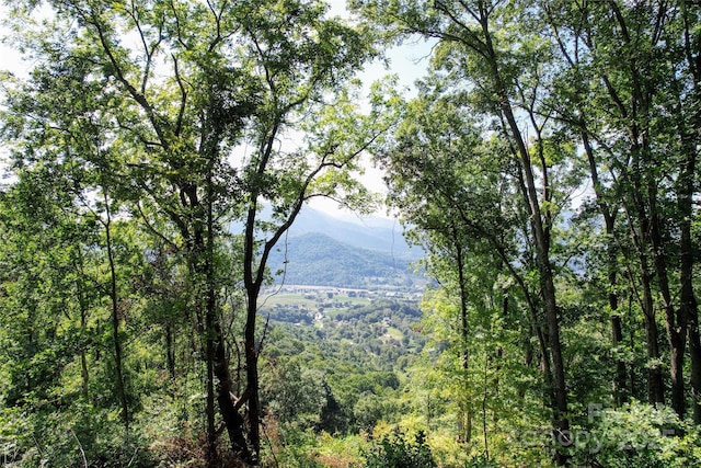 114 Trails End Ln, Waynesville, NC 28785