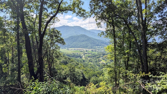 114 Trails End Ln, Waynesville, NC 28785