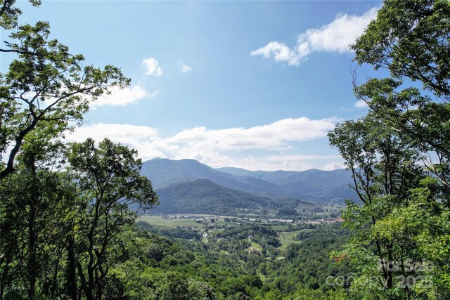 114 Trails End Ln, Waynesville, NC 28785