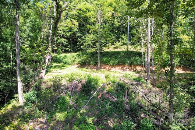 114 Trails End Ln, Waynesville, NC 28785
