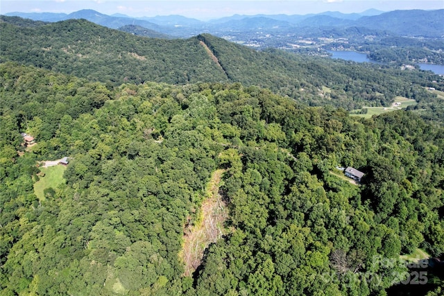 114 Trails End Ln, Waynesville, NC 28785