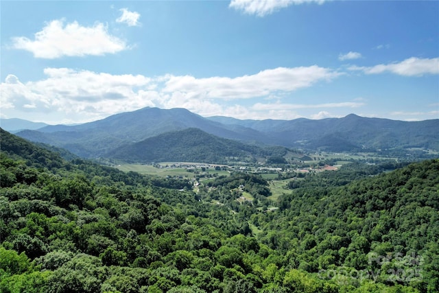 114 Trails End Ln, Waynesville, NC 28785