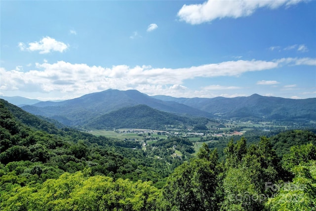 114 Trails End Ln, Waynesville, NC 28785