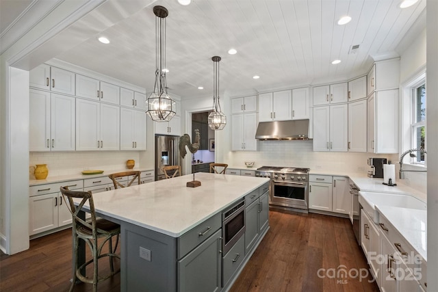 2630 Mary Butler Way, Charlotte, NC 28226 - kitchen with gray cabinets, stainless steel appliances, under cabinet range hood, white cabinetry, and recessed lighting