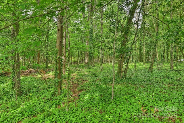 2630 Mary Butler Way, Charlotte, NC 28226 - view of woods