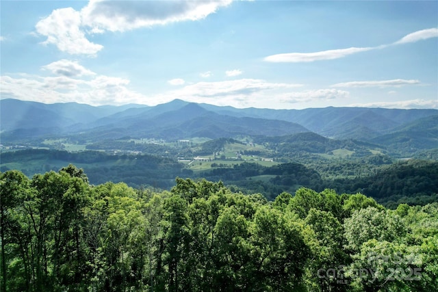 394 Aubrey Trl, Waynesville, NC 28785