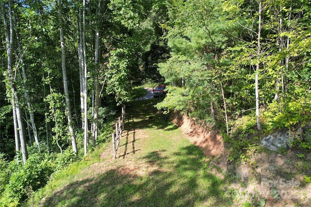 394 Aubrey Trl, Waynesville, NC 28785