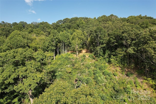 394 Aubrey Trl, Waynesville, NC 28785