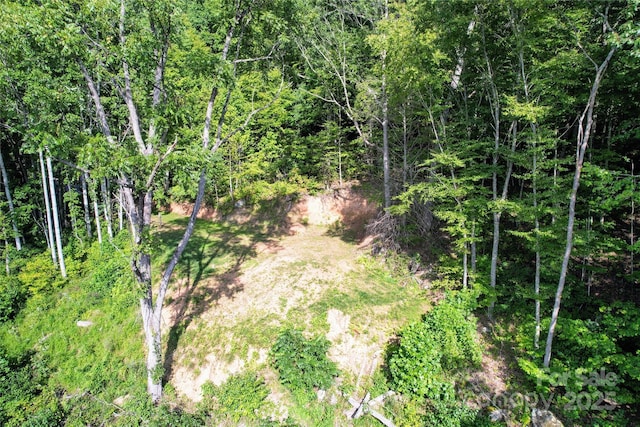 394 Aubrey Trl, Waynesville, NC 28785