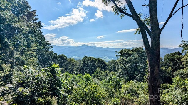 394 Aubrey Trl, Waynesville, NC 28785